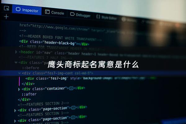 鹰头商标起名寓意是什么 - 鹰头牌子
