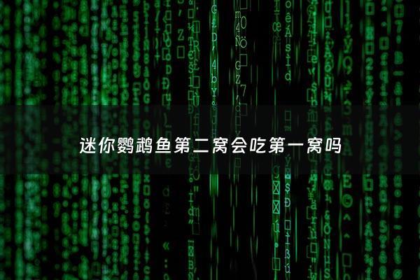 迷你鹦鹉鱼第二窝会吃第一窝吗 - 迷你鹦鹉第一窝小鱼会吃掉第二窝