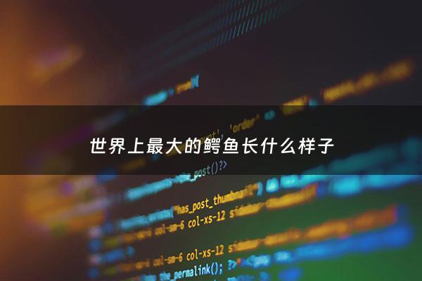 世界上最大的鳄鱼长什么样子 - 我要看世界上最大的鳄鱼长什么样