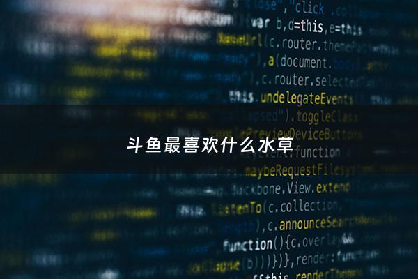 斗鱼最喜欢什么水草 - 斗鱼喜欢什么浮萍