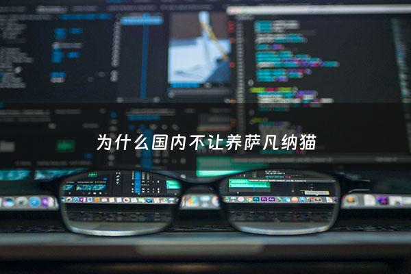 为什么国内不让养萨凡纳猫 - ***有萨凡纳猫舍吗