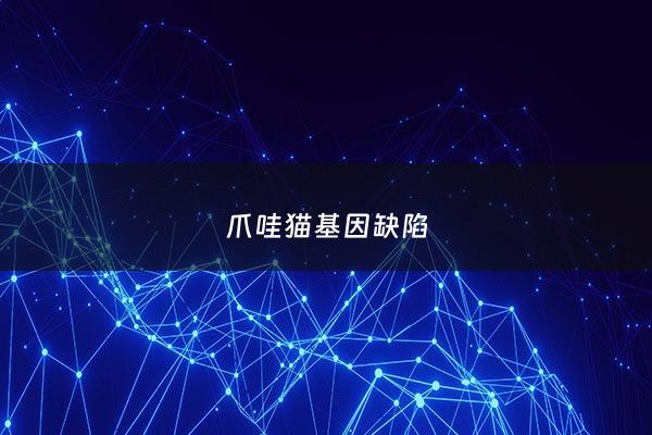 爪哇猫基因缺陷 - 猫咪基因缺陷有哪些症状