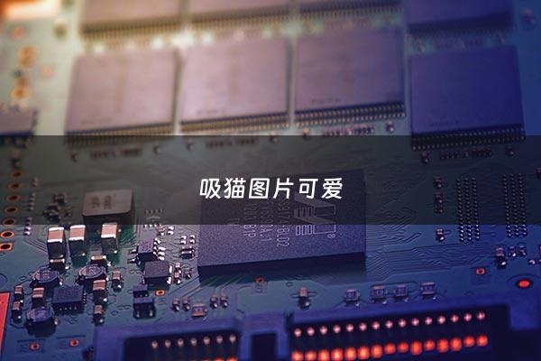 吸猫图片可爱 - 吸猫表情图片