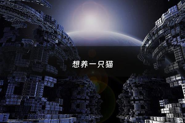 想养一只猫 - 想养一只猫哪种比较好