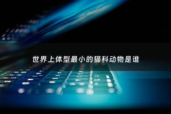 世界上体型最小的猫科动物是谁 - 体型最小的大型猫科动物