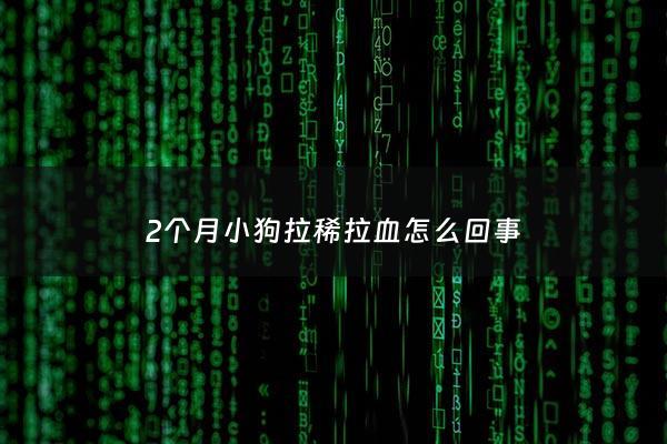 2个月小狗拉稀拉血怎么回事 - 两个月小狗拉稀带血怎么办