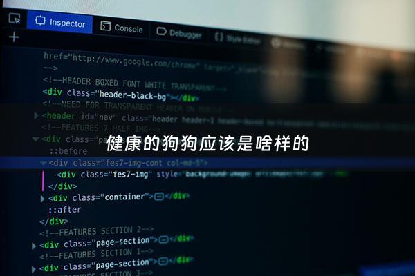 健康的狗狗应该是啥样的 - 狗狗健康的十个标准