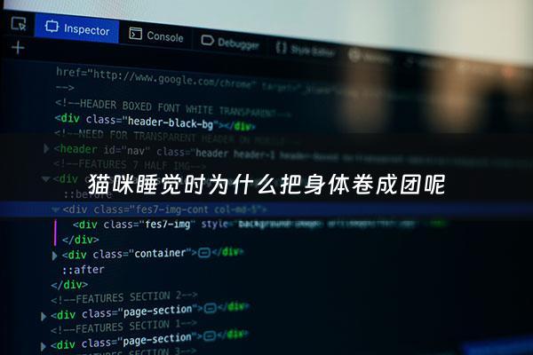 猫咪睡觉时为什么把身体卷成团呢 - 猫咪为什么睡觉时卷缩成一团