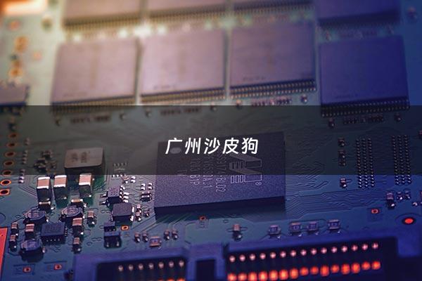 广州沙皮狗 - 广东沙皮狗