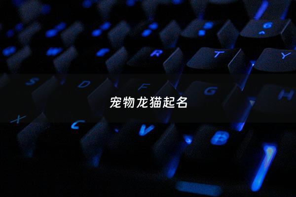 宠物龙猫起名 - 龙猫起什么名字呢