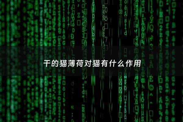 干的猫薄荷对猫有什么作用 - 干的猫薄荷对猫有什么作用吗