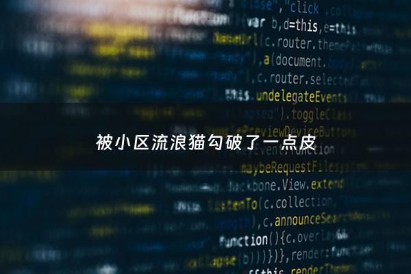 被小区流浪猫勾破了一点皮 - 被小区的流浪猫抓了一下手怎么办