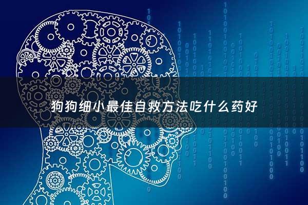狗狗细小最佳自救***吃什么药好 - 狗狗细小吃什么药最管用