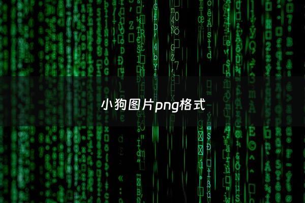 小狗图片png格式 - 小狗图片下载