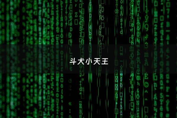 斗犬小天王 - 斗犬之王