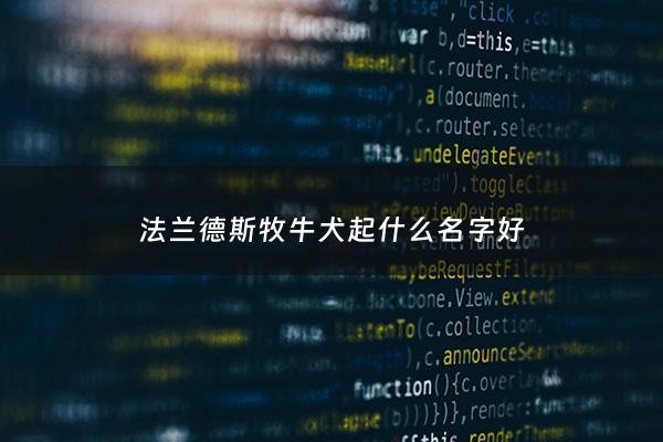 法兰德斯牧牛犬起什么名字好 - 佛兰德牧牛狗