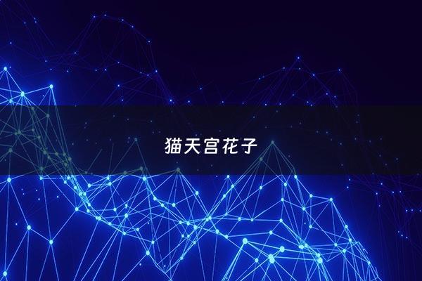 猫天宫花子 - 猫天宫花子抱枕