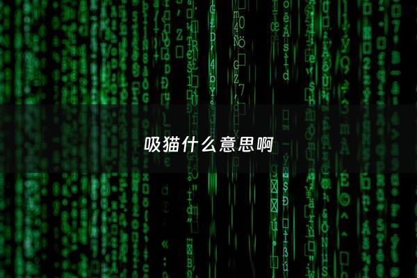 吸猫什么意思啊 - 吸猫是什么玩意儿