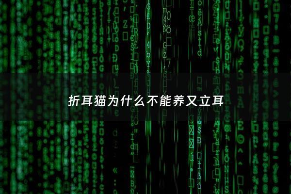 折耳猫为什么不能养又立耳 - 折耳猫为什么不能生小猫