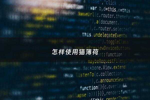 怎样使用猫薄荷 - 猫薄荷使用注意事项