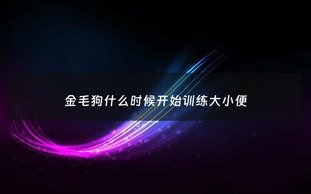 金毛狗什么时候开始训练大小便 - 金毛多大开始训练定时大小便