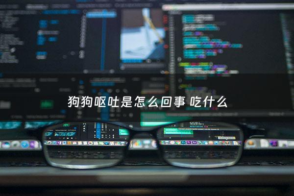 狗狗呕吐是怎么回事 吃什么 - 狗狗呕吐是怎么回事 吃什么药