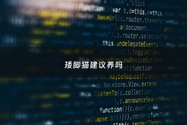 矮脚猫建议养吗 - 矮脚猫的弊端