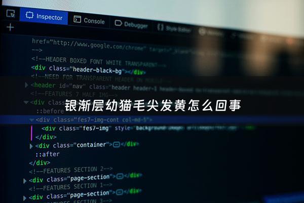 银渐层幼猫毛尖发黄怎么回事 - 银渐层有些毛发黄