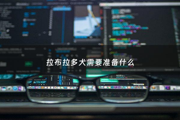 拉布拉多犬需要准备什么 - 拉布拉多犬需要准备什么药品