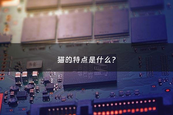 猫的特点是什么? - 四年级下册猫的特点是什么