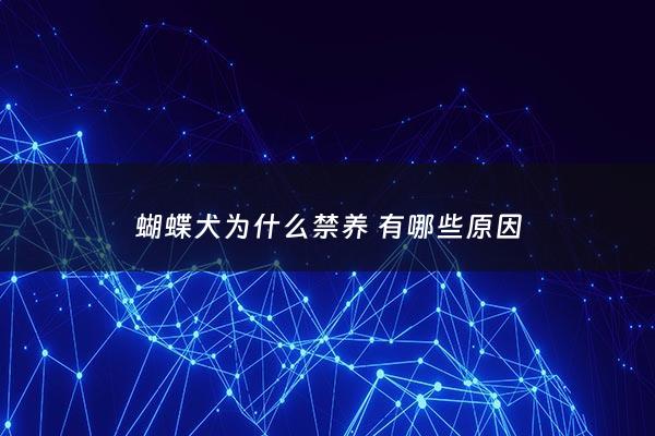 蝴蝶犬为什么禁养 有哪些原因 - 蝴蝶犬为什么没人养