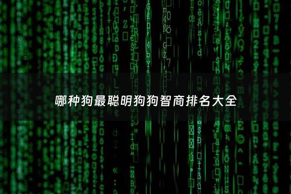 哪种狗最聪明狗狗智商排名大全 - 狗哪种狗最智商最高