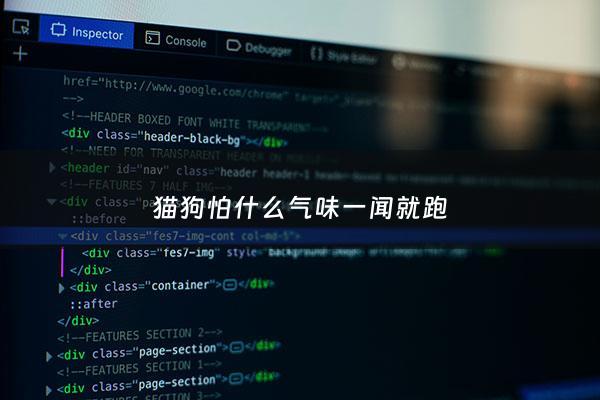 猫狗怕什么气味一闻就跑 - 猫狗害怕的气味