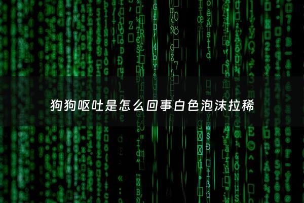 狗狗呕吐是怎么回事白色泡沫拉稀 - 狗呕吐白色粘稠泡沫拉稀
