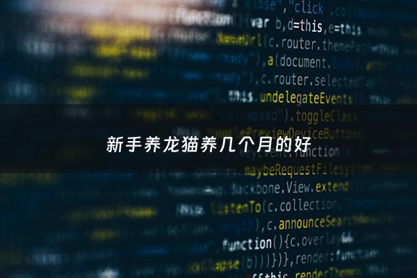 新手养龙猫养几个月的好 - 新手养龙猫怎么养