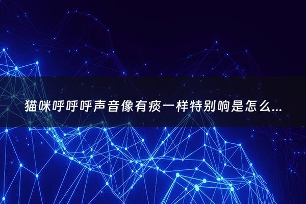 猫咪呼呼呼声音像有痰一样特别响是怎么了 - 猫咪呼噜的声音有痰的感觉