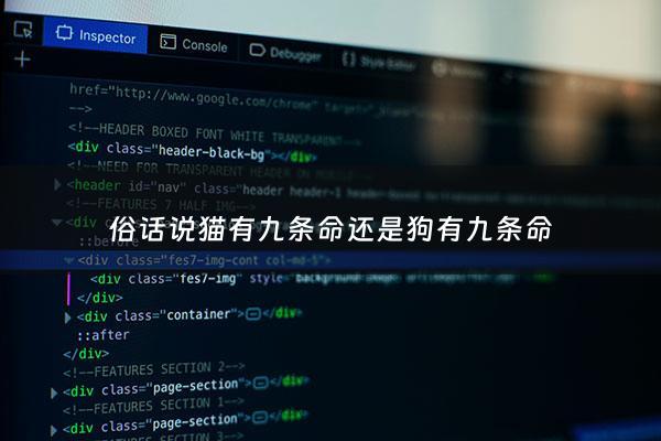 俗话说猫有九条命还是狗有九条命 - 都说猫有九条命是不是真的