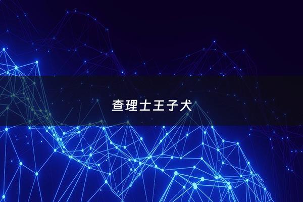 查理士王子犬 - 查理王子 犬