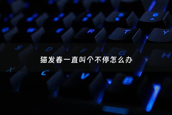 猫发春一直叫个不停怎么办 - 猫发春一直叫是为什么
