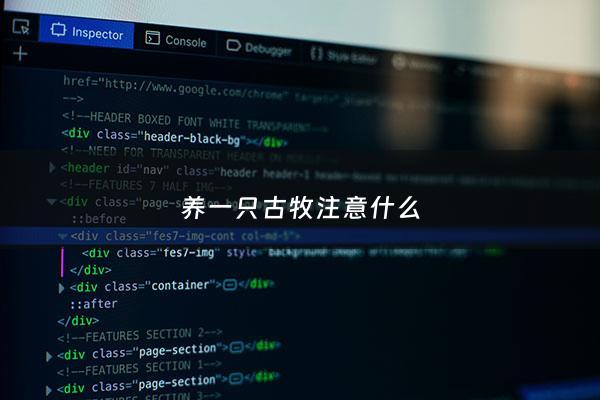 养一只古牧注意什么 - 养一只古牧注意什么事项