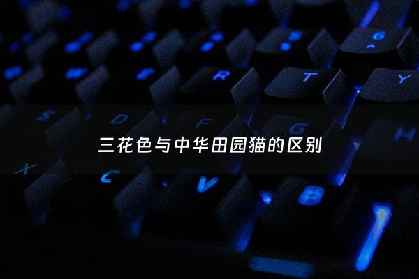 三花色与中华田园猫的区别 - 三花***肯定是母的吗