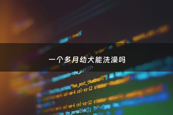 一个多月幼犬能洗澡吗 - 一个多月的小狗狗可以洗澡吗