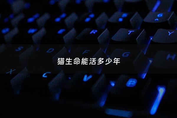 猫生命能活多少年 - 猫一生能活多少年