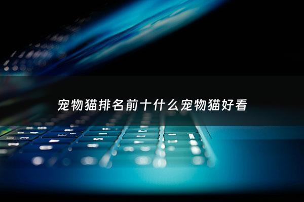 宠物猫排名前十什么宠物猫好看 - 宠物猫排行前十名