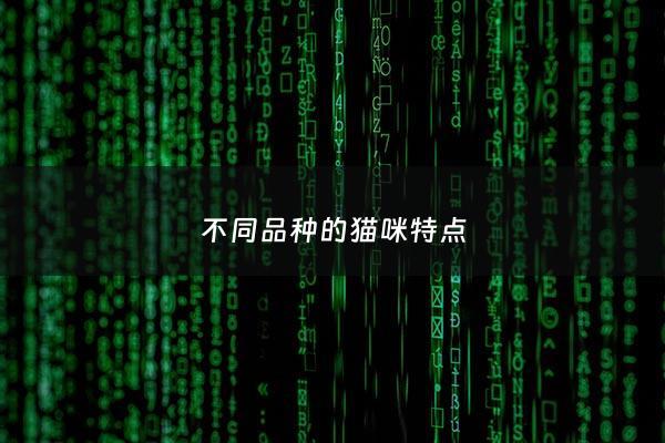 不同品种的猫咪特点 - 不同品种猫的区别