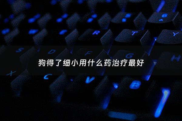 狗得了细小用什么药治疗最好 - 狗得了细小用什么药会比较好