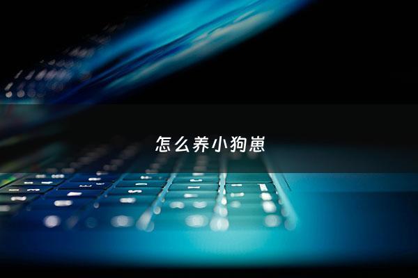 怎么养小狗崽 - 怎样养小狗?