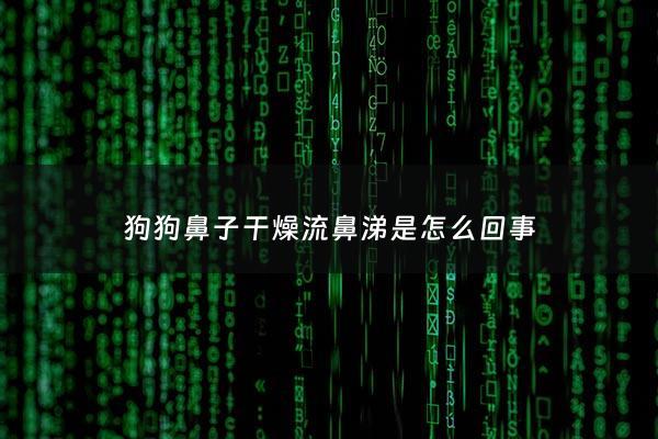 狗狗鼻子干燥流鼻涕是怎么回事 - 狗狗鼻子干流鼻涕是什么原因怎么样医治