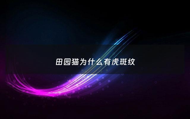 田园猫为什么有虎斑纹 - 田园猫有黑色吗