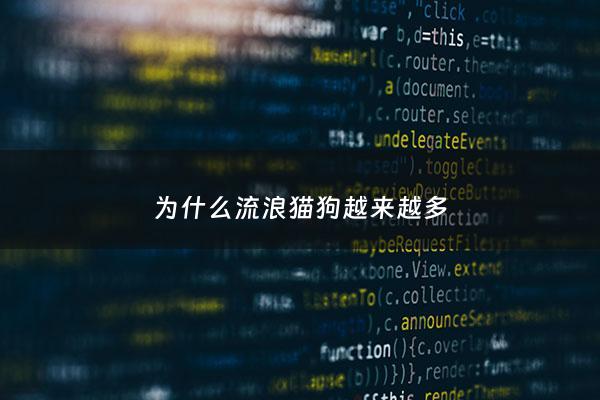 为什么流浪猫狗越来越多 - 流浪猫狗为什么这么多